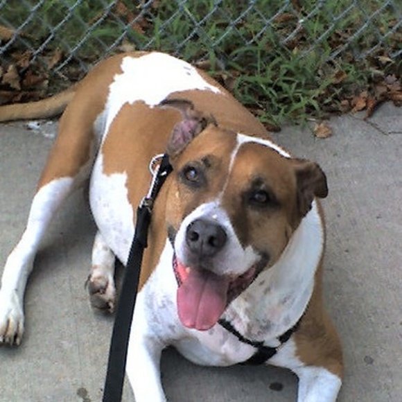 Meet your Posher, Matthew - Picture 1 of 1